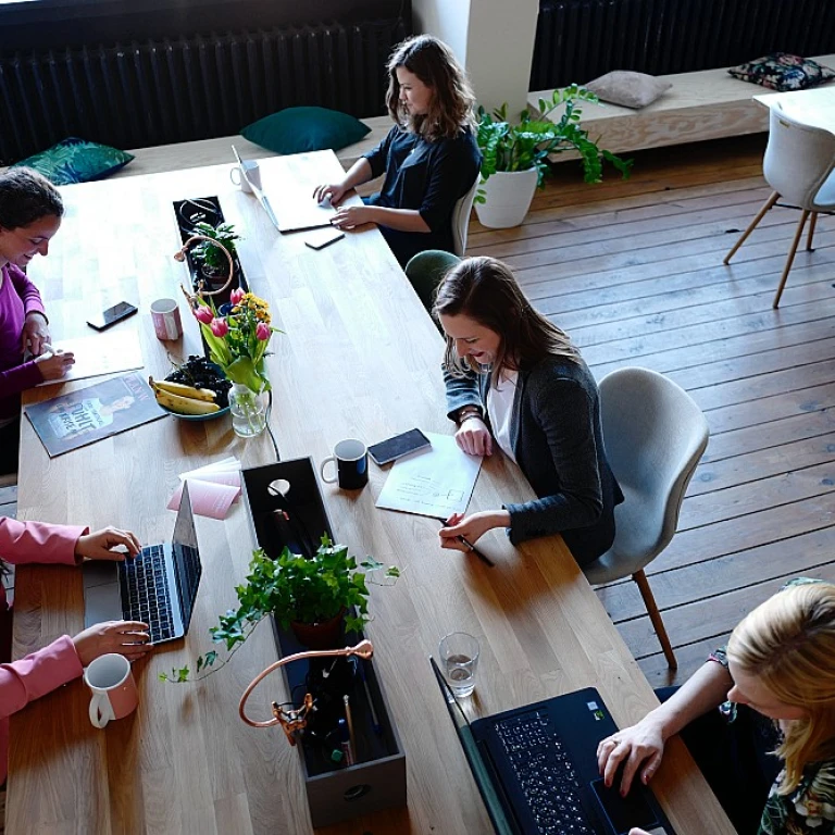 Les secrets des zones feng shui pour harmoniser votre espace